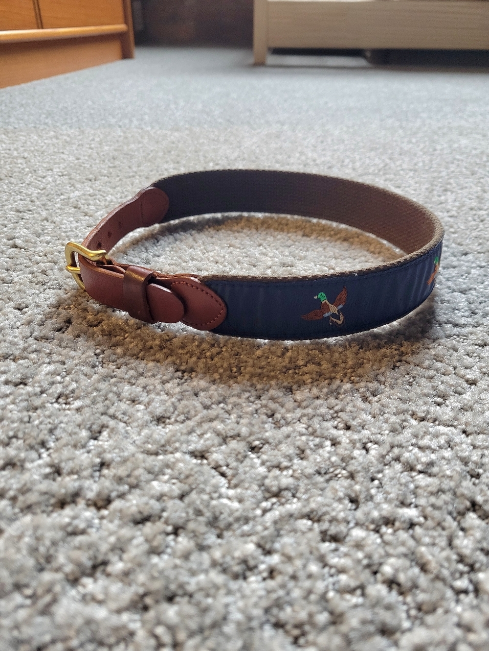 Leather Man Ltd. Mallard Embroidered Belt, Leather Trim Brass Buckle 6-18 months
